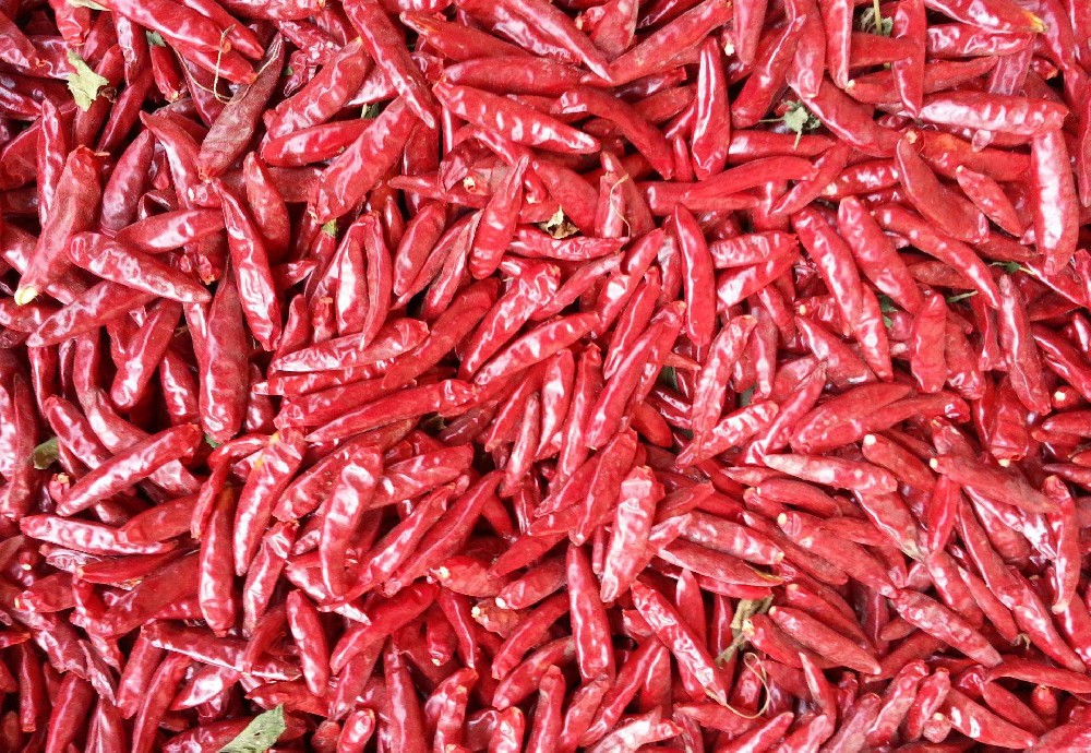 餐飲公司將把食品安全放在首位，以實踐健康信使