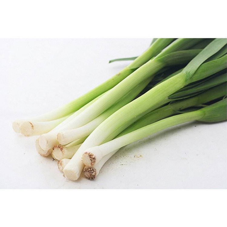 為了提高員工的福利，它將從食堂開始