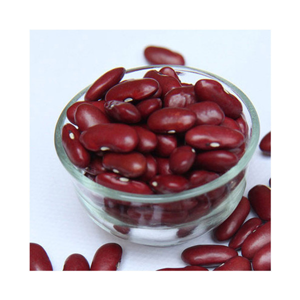 食堂提供專業(yè)、熱情的服務(wù)