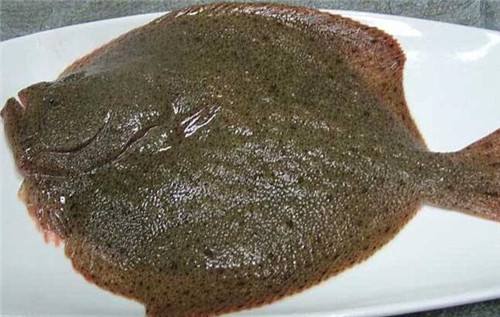 蔬菜配送注重提高產(chǎn)品品質(zhì)保證食堂承包企業(yè)通過內(nèi)部控制員工工作進行每天吃到美味