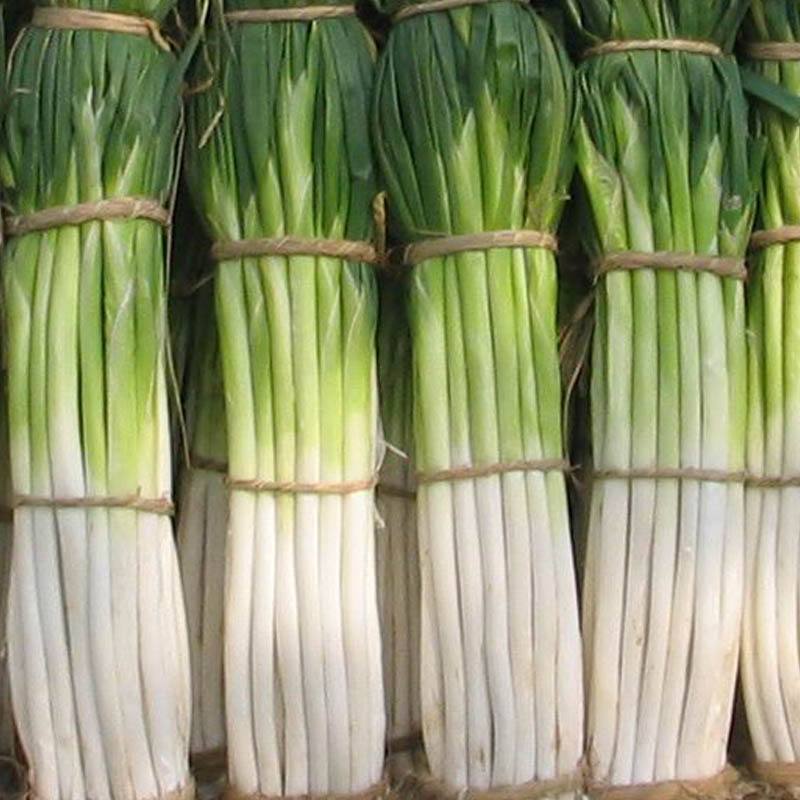 所有企業(yè)員工都愿意為學生食堂承包加班